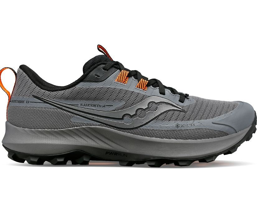 Mens Peregrine GTX