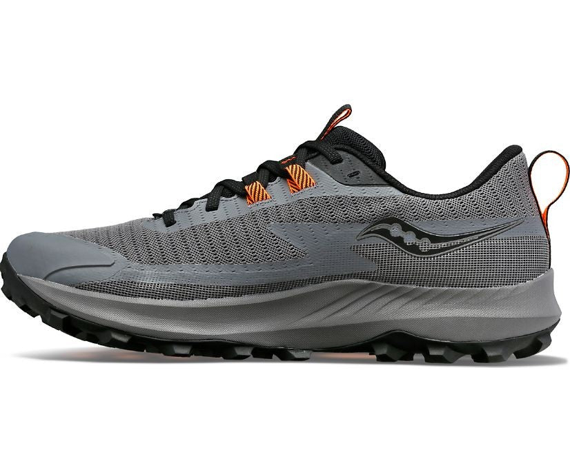Mens Peregrine GTX